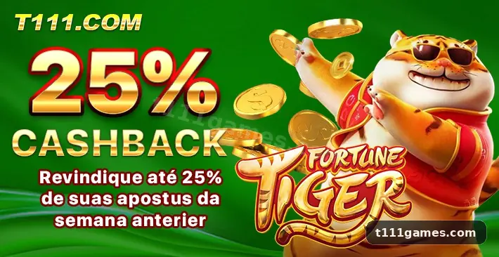 Jogo t111
